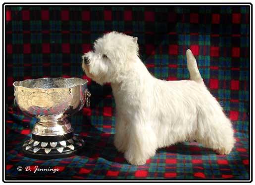 BenandGlengordonTrophyWeb
