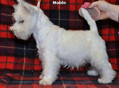 Mable3Months