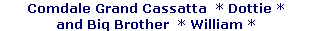 Comdale Grand Cassatta  * Dottie *








and Big Brother  * William *