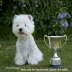 Diva BurlmereTrophy