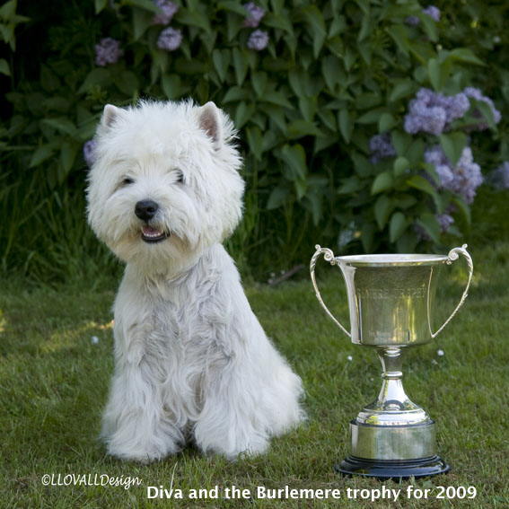 Diva BurlmereTrophy